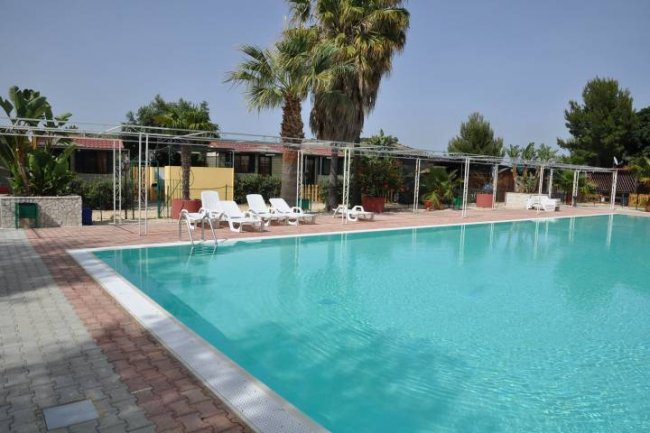 Piscina all'aperto con lettini bianchi e palme sullo sfondo.