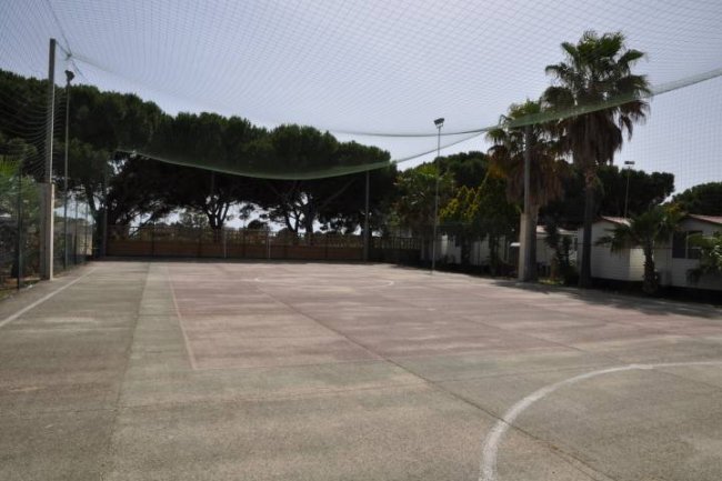 Campo da calcetto vuoto con palme e pineta sullo sfondo, recintato con rete.