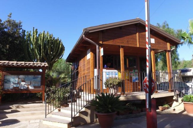 Un piccolo edificio in legno circondato da piante e palme.