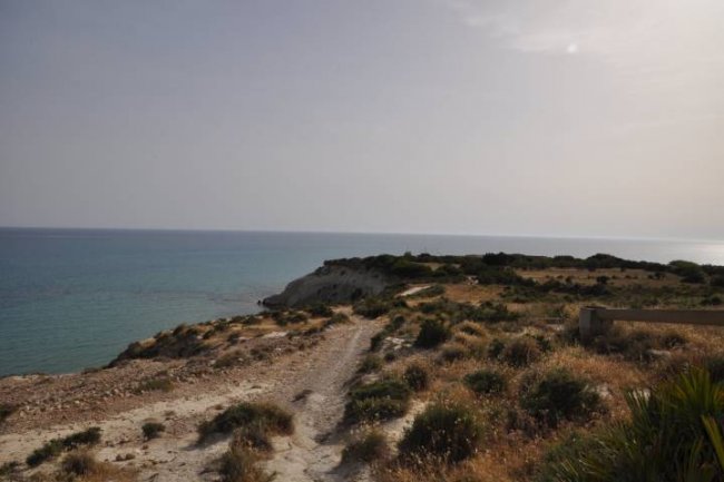 Un sentiero costiero con arbusti conduce al mare, con l'orizzonte lontano.