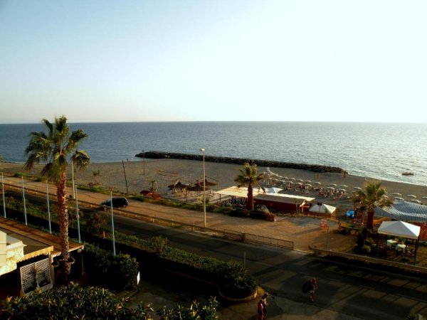Spiaggia con palme e ombrelloni vicino alla strada, vista sull'oceano.