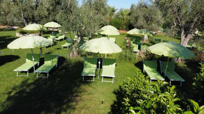 Lettini e ombrelloni verdi su un prato circondato da alberi.