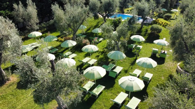 Giardino con ombrelloni e lettini verdi tra ulivi e piscina sullo sfondo.