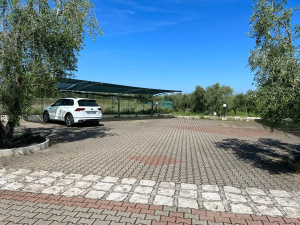 Parcheggio pavimentato con un'auto bianca sotto una tettoia e ulivi intorno.