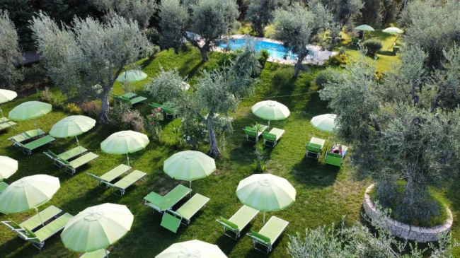 Area verde con ombrelloni e lettini tra ulivi, vicino a una piscina.