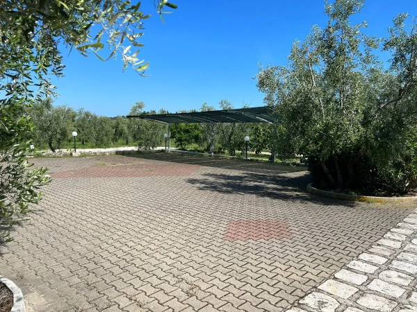 Parcheggio pavimentato con tettoia, circondato da alberi e cielo sereno.