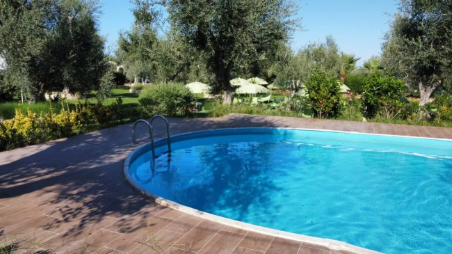 Piscina semiovale con scaletta immersa nel verde di un giardino con alberi.