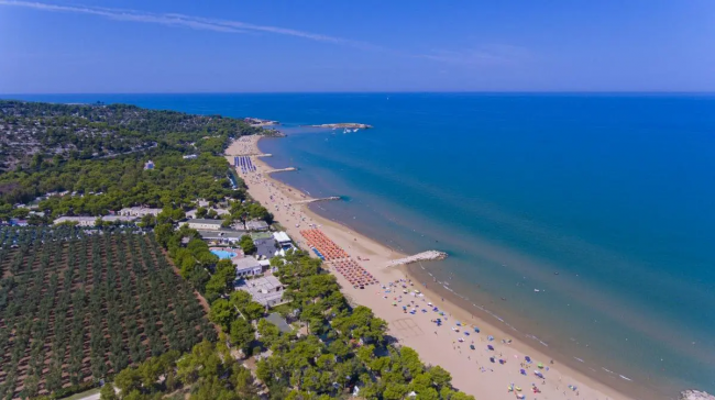Spiaggia sabbiosa affacciata su un mare azzurro, con ombrelloni e vegetazione circostante.