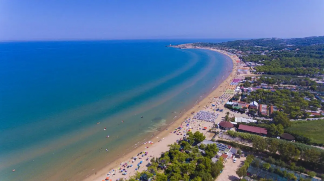 Vista aerea di una lunga spiaggia sabbiosa con ombrelloni lungo la costa.