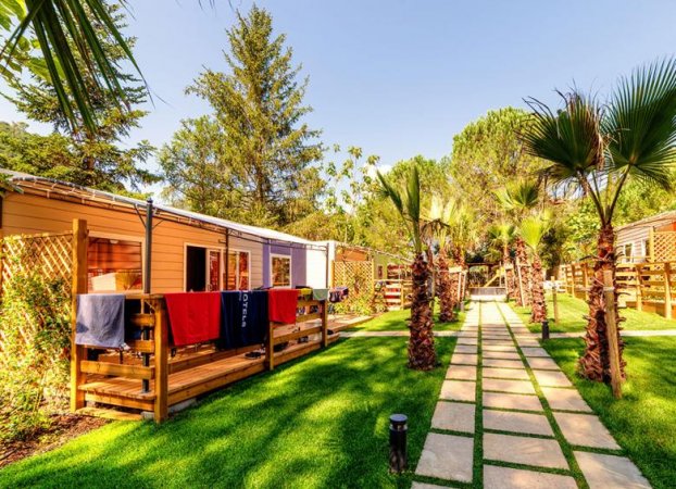 Sentiero tra giardini curati con palme e bungalow in legno.