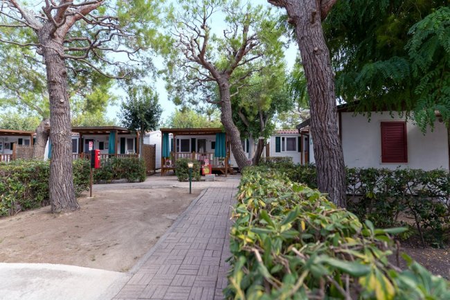 Sentiero con bungalow e alberi circostanti.