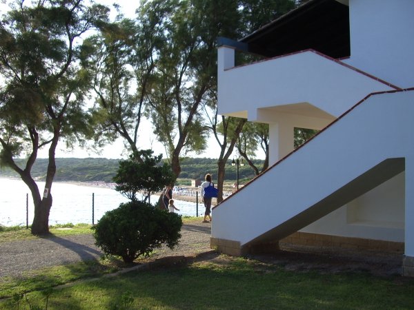 Edificio bianco con scale esterne, alberi vicino al mare.