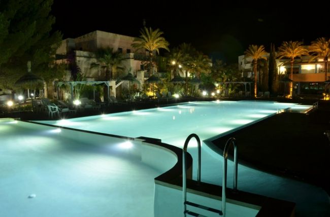 Piscina illuminata di notte, circondata da palme.