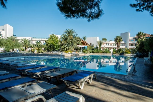 Lettini accanto a una piscina con palme e edifici sullo sfondo.