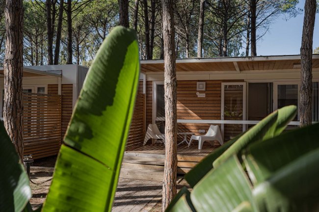 Bungalow in legno tra gli alberi.