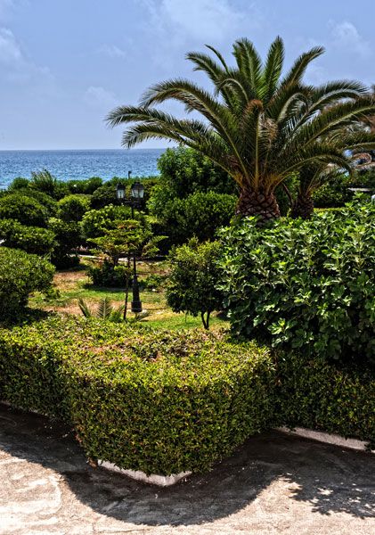 Giardino con palme e vista mare sullo sfondo.