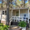 offerte agosto Camping Village Riva Dei Greci - Metaponto