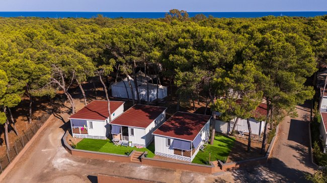 Casette bianche tra gli alberi con vista mare.