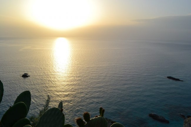 Un tramonto sul mare con cactus in primo piano.
