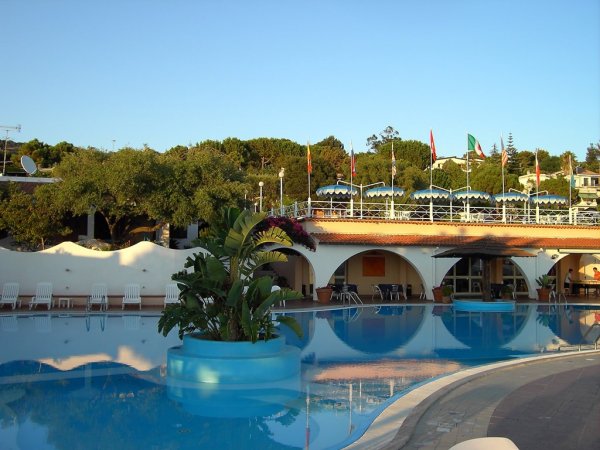 Una piscina all'aperto con una pianta nel centro. Sfondo con alberi e bandiere su un edificio.