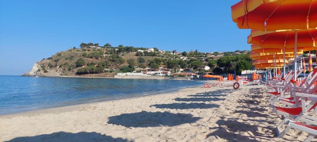 Spiaggia sabbiosa con ombrelloni arancioni, mare calmo e colline sullo sfondo.