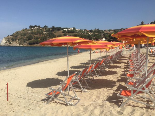 Sedie a sdraio con ombrelloni arancioni su una spiaggia sabbiosa vicino a un mare blu.