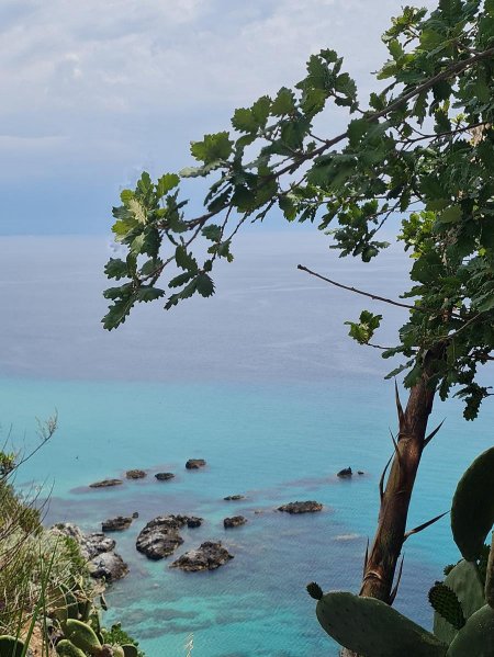 Vista dal promontorio con rami di alberi e mare azzurro sottostante.