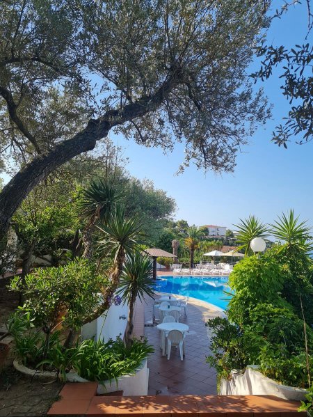 Piscina tra alberi e piante con sedie bianche in un giardino soleggiato.