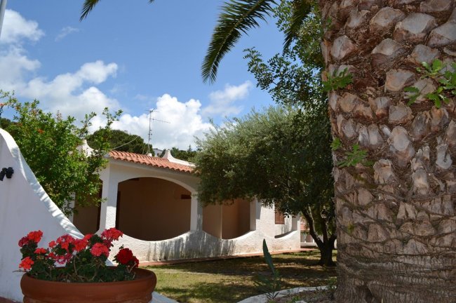 Un cortile con palme e un edificio bianco sotto un cielo blu.