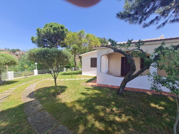 Un giardino con sentiero in pietra, alberi e una casa bianca con portico.